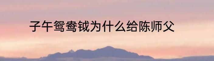 子午鸳鸯钺为什么给陈师父