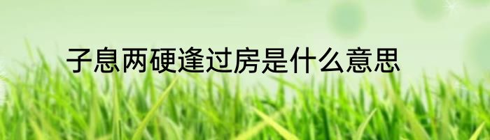 子息两硬逢过房是什么意思