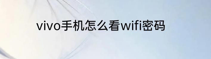 vivo手机怎么看wifi密码