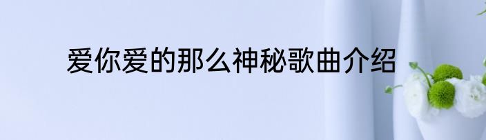 爱你爱的那么神秘歌曲介绍