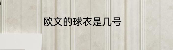 欧文的球衣是几号