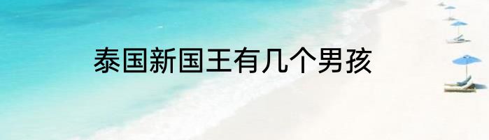 泰国新国王有几个男孩