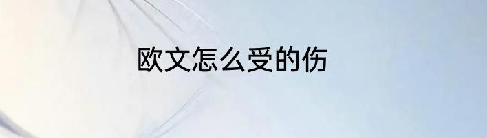 欧文怎么受的伤