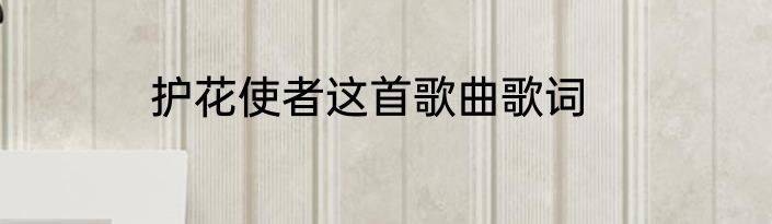 护花使者这首歌曲歌词