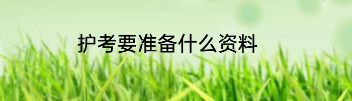 护考要准备什么资料