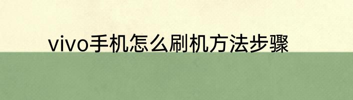 vivo手机怎么刷机方法步骤
