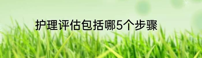 护理评估包括哪5个步骤