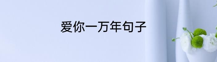 爱你一万年句子