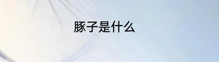 豚子是什么