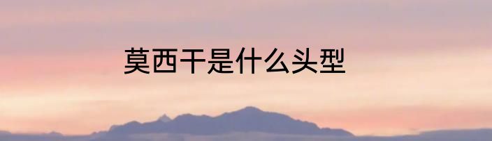 莫西干是什么头型
