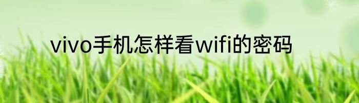 vivo手机怎样看wifi的密码