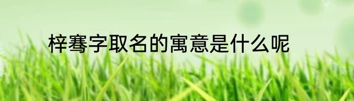 梓骞字取名的寓意是什么呢