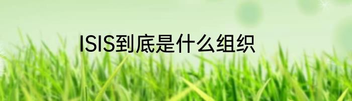 ISIS到底是什么组织