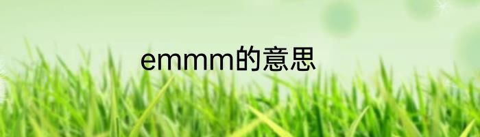 emmm的意思