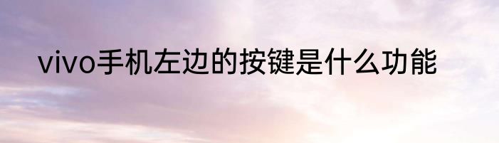 vivo手机左边的按键是什么功能
