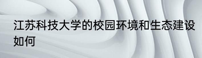 emory是美国什么大学