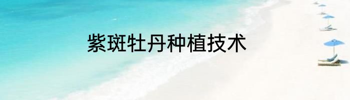 紫斑牡丹种植技术