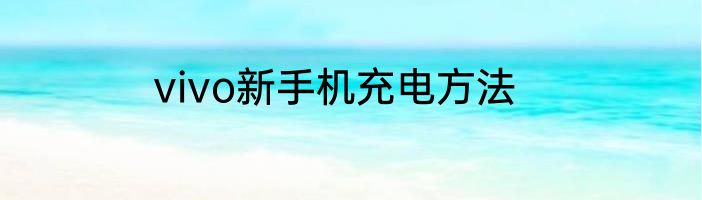 vivo新手机充电方法
