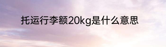 托运行李额20kg是什么意思