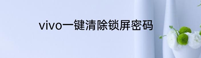 vivo一键清除锁屏密码