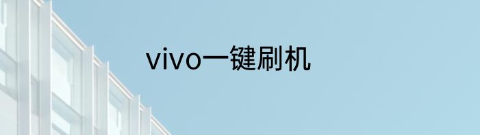 vivo一键刷机