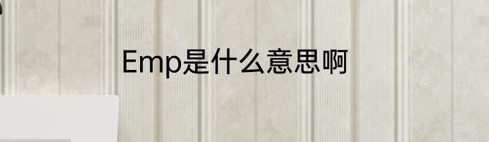 Emp是什么意思啊