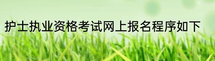 护士执业资格考试网上报名程序如下