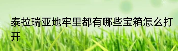 泰拉瑞亚地牢里都有哪些宝箱怎么打开