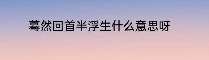 蓦然回首半浮生什么意思呀