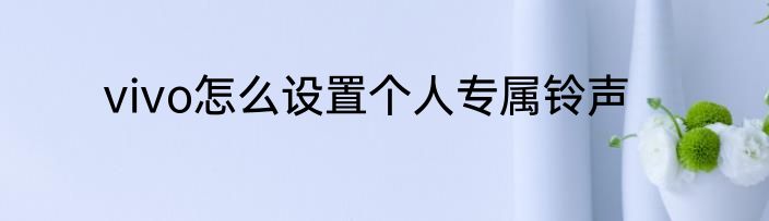 vivo怎么设置个人专属铃声