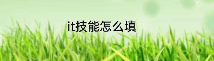 it技能怎么填