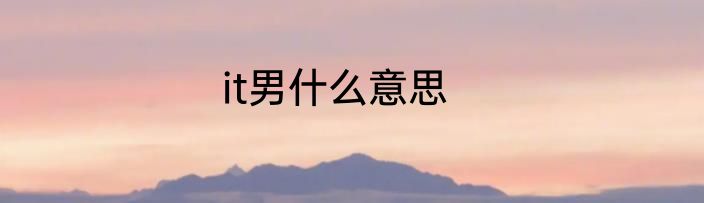 it男什么意思