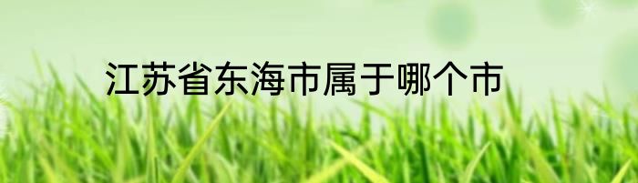 江苏省东海市属于哪个市