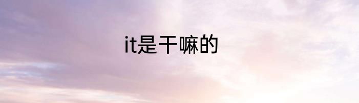 it是干嘛的