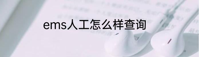 ems人工怎么样查询