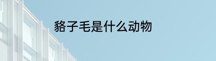 貉子毛是什么动物