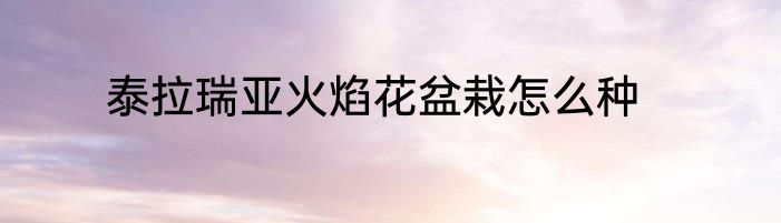 泰拉瑞亚火焰花盆栽怎么种