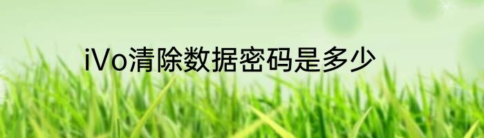iVo清除数据密码是多少