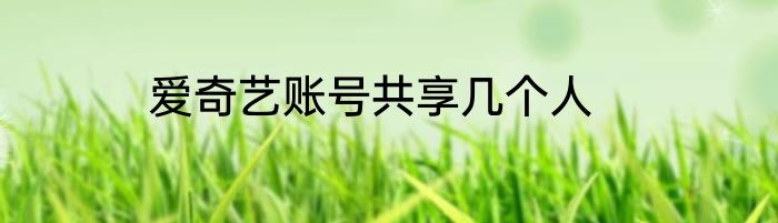 爱奇艺账号共享几个人