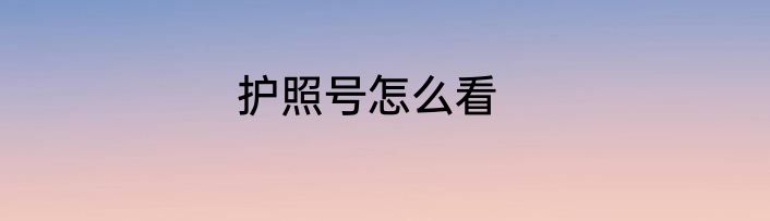 护照号怎么看