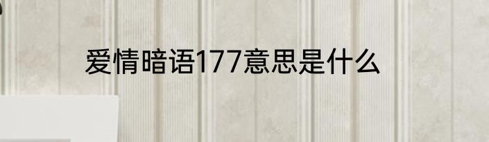 爱情暗语177意思是什么