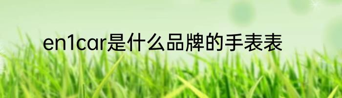 en1car是什么品牌的手表表