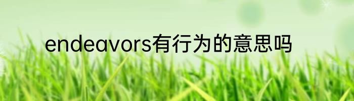 endeavors有行为的意思吗