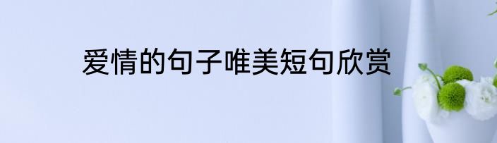 爱情的句子唯美短句欣赏