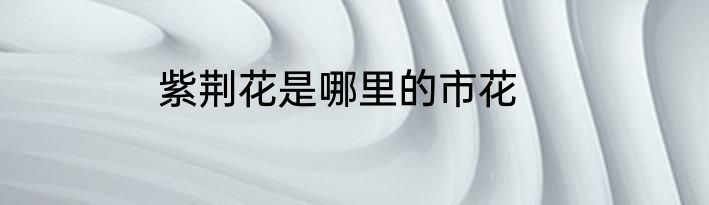 紫荆花是哪里的市花