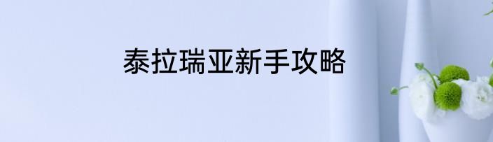 泰拉瑞亚新手攻略