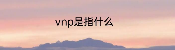 vnp是指什么