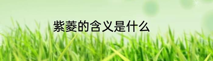 紫菱的含义是什么