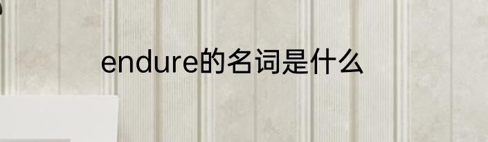 endure的名词是什么