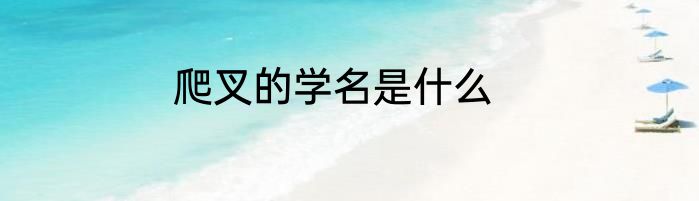 爬叉的学名是什么